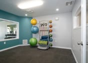 Thumbnail 18 of 39 - a workout room with weights and balls and a mirror at Stoneridge Apartments, Gainesville, 32608