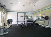 Thumbnail 16 of 39 - Fitness Center at Stoneridge Apartments, Gainesville