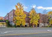 Thumbnail 16 of 27 - Exterior photo of Karinsplass Apartments with a blue sky overhead and bright, yellow trees