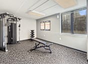 Thumbnail 15 of 17 - A gym room with a bench, weights, and a window.