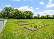 Thumbnail 28 of 41 - a view of some raised garden beds in a field