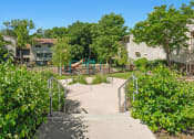 Thumbnail 55 of 57 - the preserve at ballantyne commons apartments courtyard and playground