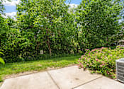 Thumbnail 26 of 41 - a yard with grass and trees and a sidewalk