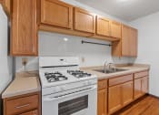 Thumbnail 49 of 51 - a kitchen with a stove and a sink