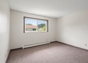 Thumbnail 17 of 57 - an empty room with a window and carpet