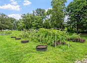 Thumbnail 14 of 25 - a vegetable garden with several tires in the grass