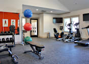 Thumbnail 10 of 37 - A gym with a variety of equipment including treadmills, weights, and exercise balls.