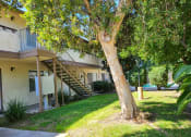 Thumbnail 2 of 8 - a tree in a yard in front of a building