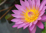 Thumbnail 6 of 7