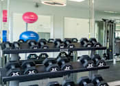 Thumbnail 35 of 61 - Free Weights at Red Bay Apartment Complex, Jacksonville, Florida