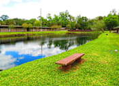 Thumbnail 15 of 19 - Lake view and a bench at Golden Shores of Jacksonville Jacksonville, FL, 32211
