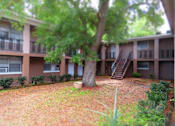 Thumbnail 14 of 19 - Property exterior at Golden Shores of Jacksonville Jacksonville, FL, 32211