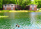 Thumbnail 8 of 19 - Lake view at Golden Shores of Jacksonville Jacksonville, FL, 32211