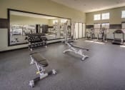 Thumbnail 15 of 22 - a large fitness room with weights and cardio equipment