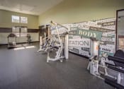 Thumbnail 14 of 22 - us state at person will look similar to this home gym