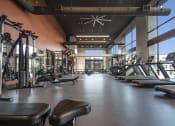 Thumbnail 9 of 28 - fitness center menlo anton