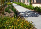 Thumbnail 7 of 22 - our apartments offer a community of homes for rent