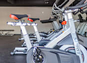 Thumbnail 29 of 30 - Patriot Crossing - Fitness Center