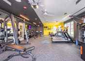 Thumbnail 10 of 60 - Arbour Place - Fitness Center