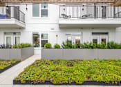 Thumbnail 9 of 60 - A white building with a green planter in front at Current812, Clarksville