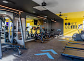 Thumbnail 19 of 29 - A gym with a variety of equipment including treadmills, weights, and exercise machines at The Warren Apartments, Jeffersonville, IN