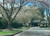 Thumbnail 12 of 23 - a building with a tree in front of it