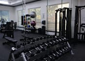 Thumbnail 12 of 29 - Fitness center with free weights and equipment at Clearwater Creek Apartments, Richardson