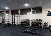 Thumbnail 68 of 106 - a gym with weights and dumbbells on the wall