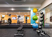 Thumbnail 69 of 106 - a gym with weights and balls and other exercise equipment