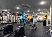 Thumbnail 66 of 106 - a gym with weights and cardio equipment in a building