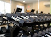 Thumbnail 4 of 24 - A rack of black dumbbells in a gym.