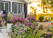 Thumbnail 22 of 24 - A garden with purple flowers in the foreground and a house in the background.