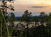 Thumbnail 19 of 24 - A forest with trees in the foreground and a body of water in the distance.