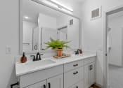 Thumbnail 11 of 103 - double vanity primary bathroom