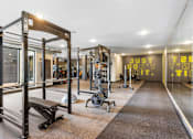 Thumbnail 35 of 103 - A gym with a sign that says "ROGUE" and a mirror on the wall.