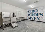 Thumbnail 56 of 99 - A wall with the words "Zero Woofs Given" in blue and yellow.
