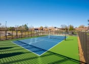 Thumbnail 5 of 55 - Pickleball Court