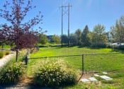 Thumbnail 35 of 38 - Dog Park at Talavera at the Junction Apartments & Townhomes, Utah