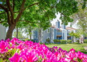 Thumbnail 20 of 21 - Courtyard With Green Space at Chesapeake Commons Apartments, Rancho Cordova, CA, 95670