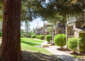 Thumbnail 15 of 15 - Green Spaces With Mature Trees at Bent Tree Apartments, Sacramento, California