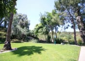 Thumbnail 17 of 24 - Green Spaces With Mature Trees at Creekside Villas Apartments, California, 92102