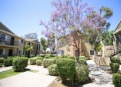Thumbnail 19 of 24 - Courtyard Garden Space at Creekside Villas Apartments, San Diego, California