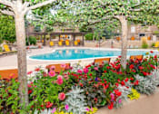 Thumbnail 37 of 44 - Picturesque Pool And Cabana Setting at Echo Ridge Apartments, Castle Rock, CO