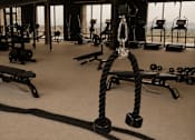 Thumbnail 63 of 85 - A gym with a rope and weights.