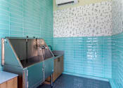 Thumbnail 31 of 40 - Dog Spa Washing Station for Dogs at Parc Ridge