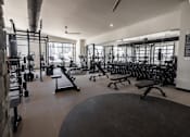 Thumbnail 36 of 52 - A gym with a variety of equipment including weights and a bench press.