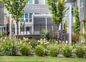 Thumbnail 36 of 39 - Flowers by outdoor kitchen at The Austin Townhomes