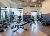 Thumbnail 18 of 40 - Free Weights and Machines in Gym at Amara
