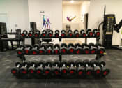 Thumbnail 15 of 23 - Free Weights in Gym at Ridge View Apartments (MA)