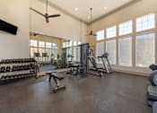 Thumbnail 34 of 44 - Modern Gym with Free Weights at Echo Ridge